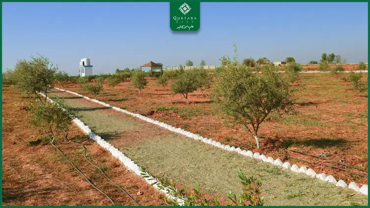 Previously, Qurtaba City also established a nursery for decorative and fruit-bearing plants, which is already fully operational and supplying a variety of plants. Through these efforts, Qurtaba City is committed to improving environmental balance and offering its residents a healthy and natural living environment.