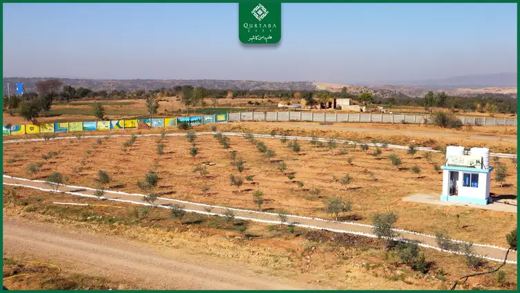 Previously, Qurtaba City also established a nursery for decorative and fruit-bearing plants, which is already fully operational and supplying a variety of plants. Through these efforts, Qurtaba City is committed to improving environmental balance and offering its residents a healthy and natural living environment.